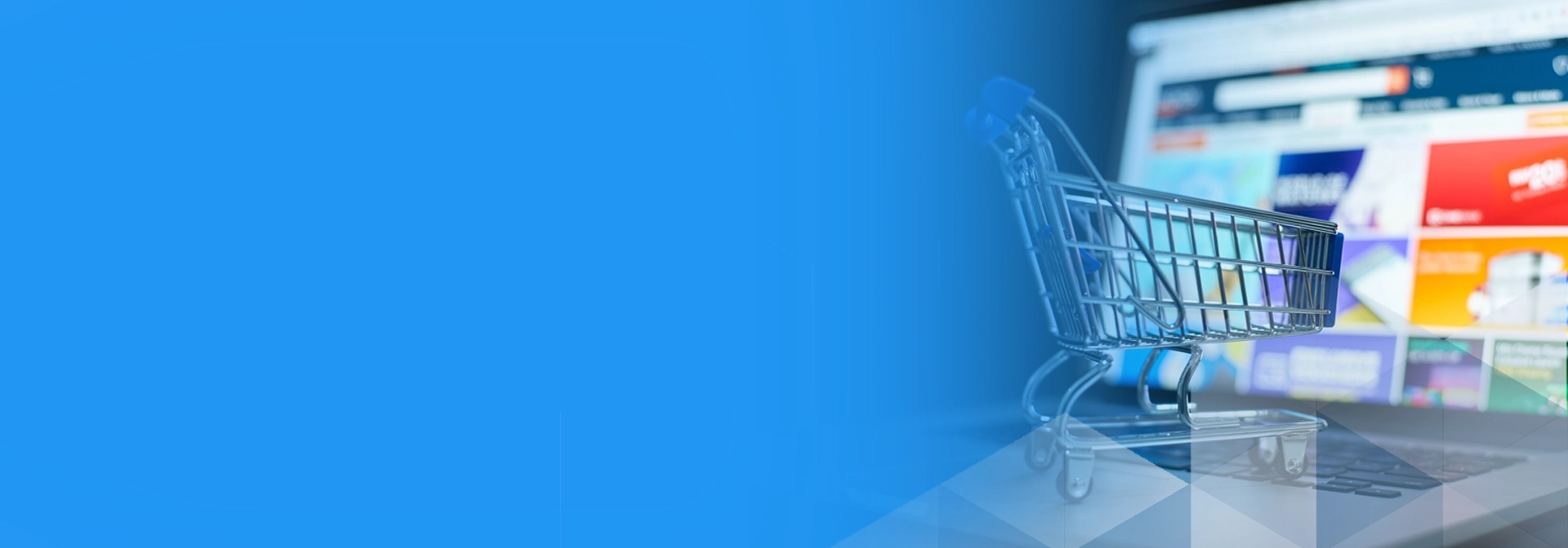 e-Commerce Website InterVision Service 1