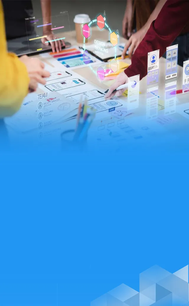 Web Development InterVision Service 2