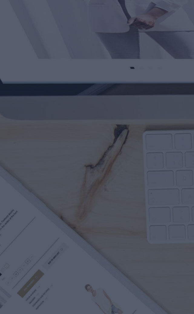 E-Commerce Web Development Service