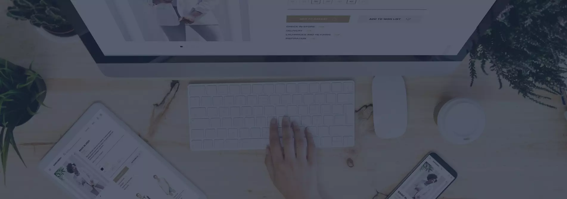 E-Commerce Web Development