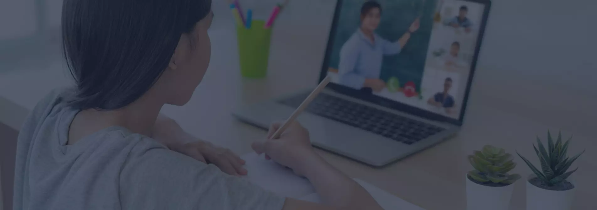 Online E-Learning/Training System Service