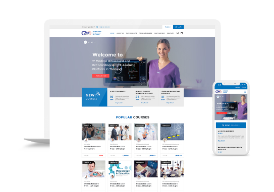 InterVision e-Commerce Service 28